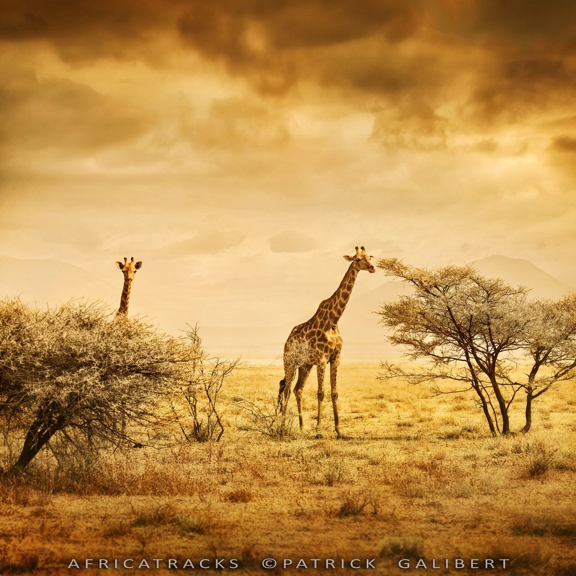 Hope for Africa