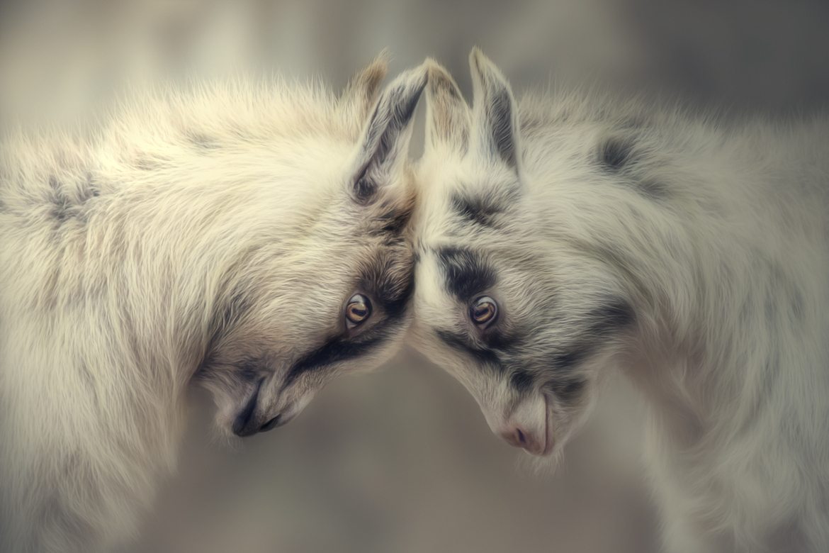 The Mysticism of Friendship