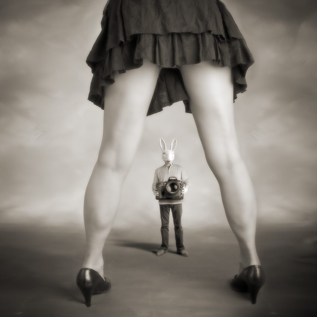 Alice in Wonder Fucking Land